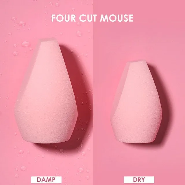 Professional Makeup Sponge (4 Variants)