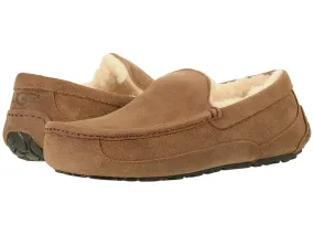 UGG Ascot