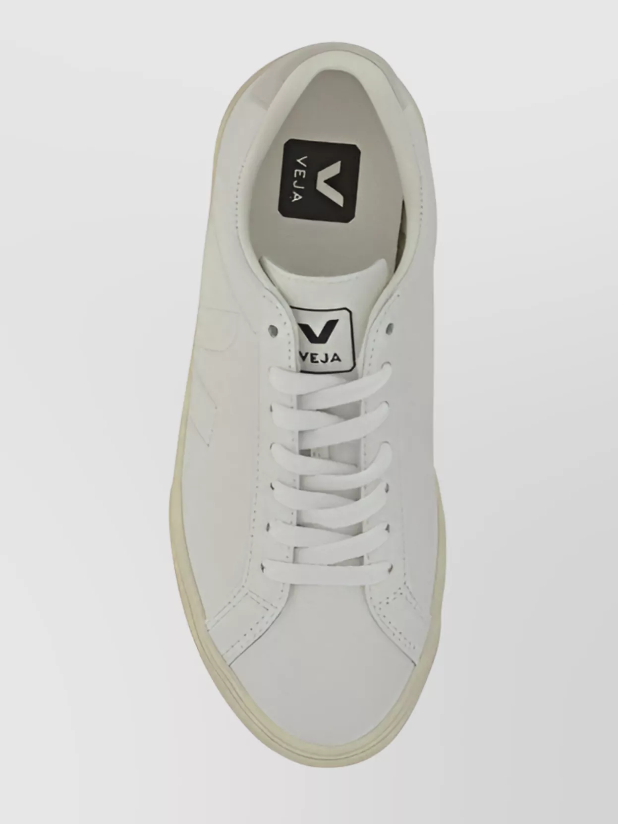 Veja   Calfskin esplar low-top sneakers